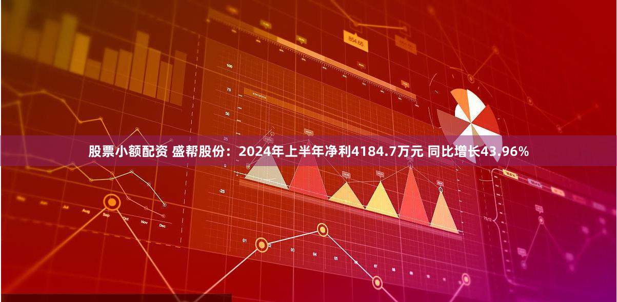股票小额配资 盛帮股份：2024年上半年净利4184.7万元 同比增长43.96%