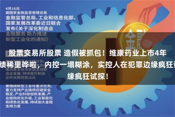 股票交易所股票 造假被抓包！维康药业上市4年，业绩稀里哗啦，内控一塌糊涂，实控人在犯罪边缘疯狂试探！
