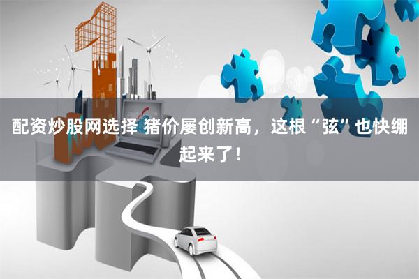 配资炒股网选择 猪价屡创新高，这根“弦”也快绷起来了！