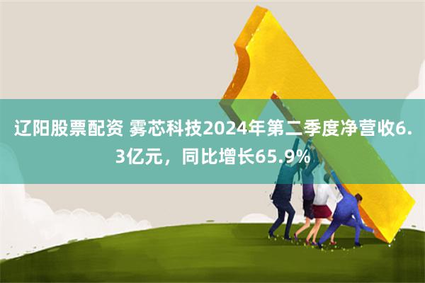 辽阳股票配资 雾芯科技2024年第二季度净营收6.3亿元，同比增长65.9%