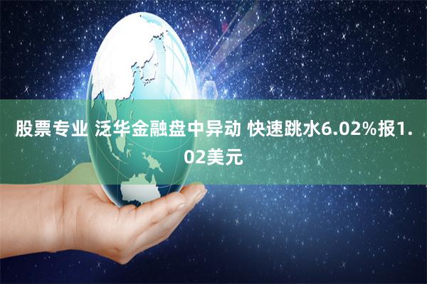 股票专业 泛华金融盘中异动 快速跳水6.02%报1.02美元