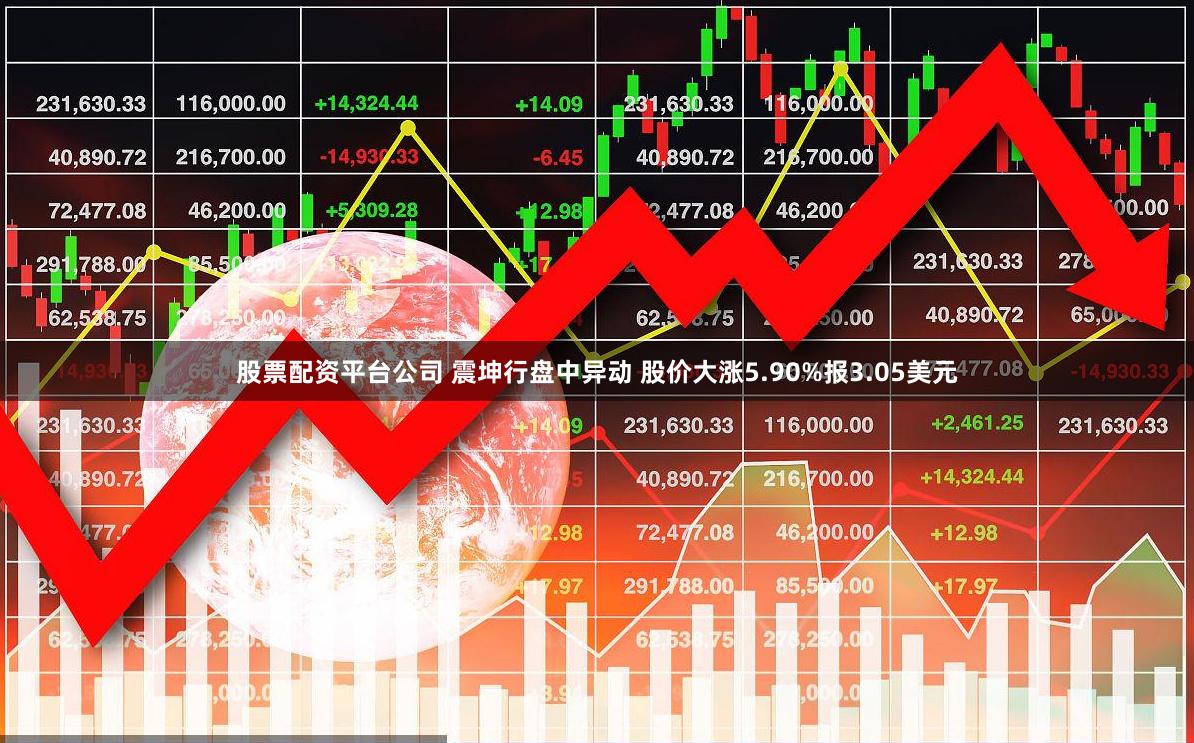 股票配资平台公司 震坤行盘中异动 股价大涨5.90%报3.05美元