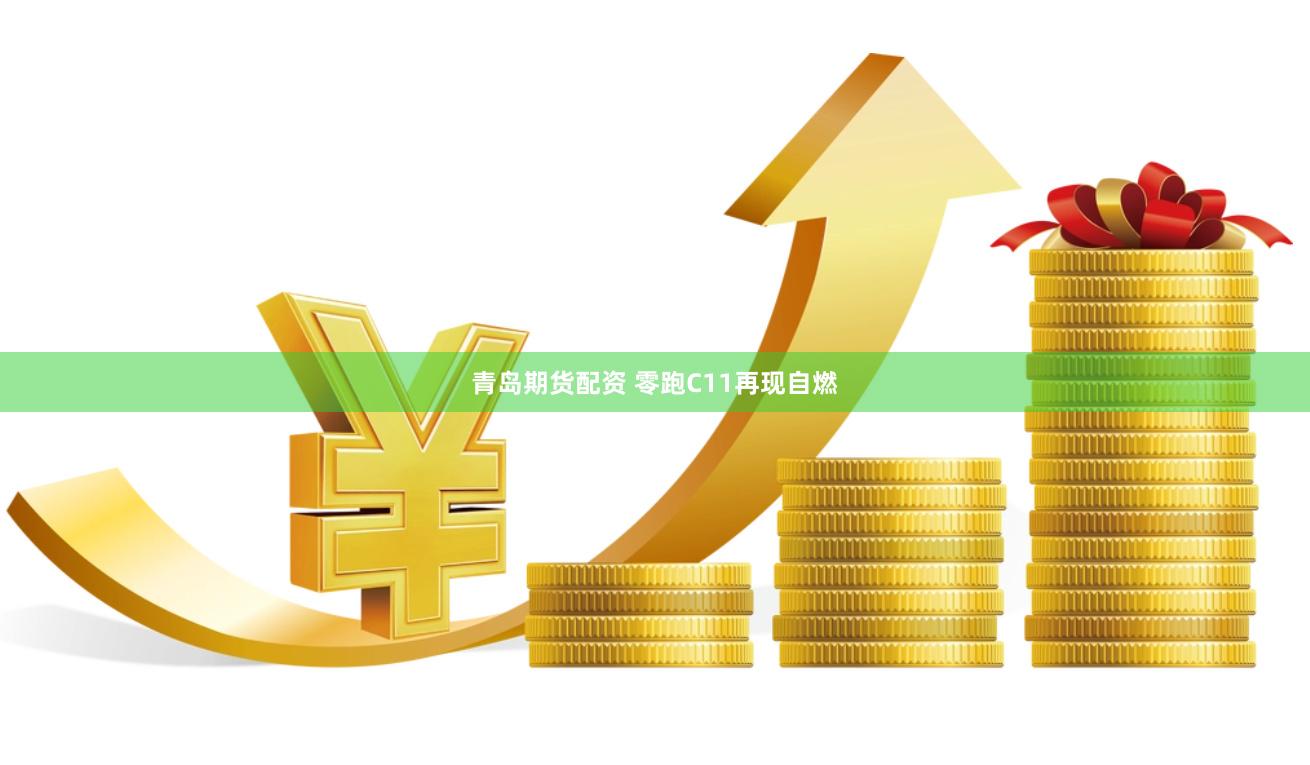 青岛期货配资 零跑C11再现自燃