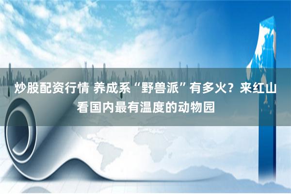 炒股配资行情 养成系“野兽派”有多火？来红山看国内最有温度的动物园