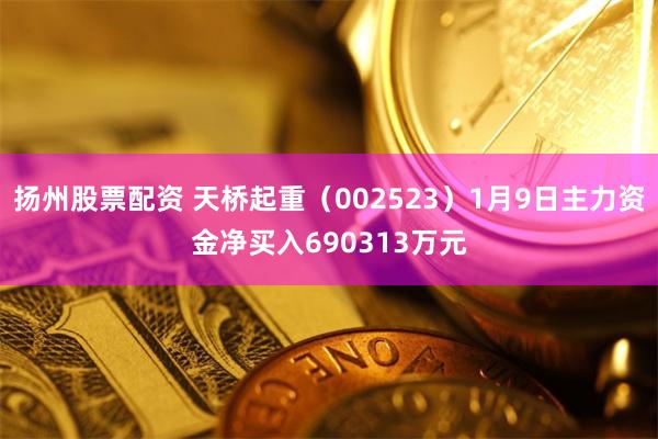 扬州股票配资 天桥起重（002523）1月9日主力资金净买入690313万元